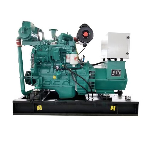 Emergency Generator